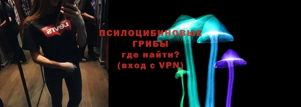 spice Медногорск