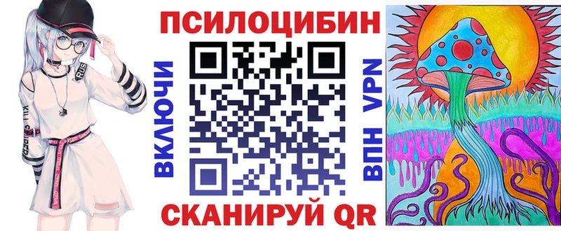 где продают   Мосальск  MEGA ТОР  Галлюциногенные грибы мицелий 